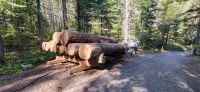 71 Logging Museum &ndash; &copy; Susanne Schirmann (Eberhardt TRAVEL)