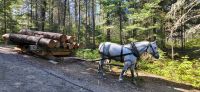 72 Logging Museum &ndash; &copy; Susanne Schirmann (Eberhardt TRAVEL)