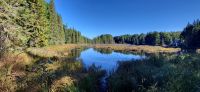 73 Algonquin Park