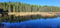 74 Algonquin Park