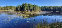 75 Algonquin Park &ndash; &copy; Susanne Schirmann (Eberhardt TRAVEL)