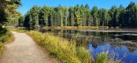 76 Algonquin Park &ndash; &copy; Susanne Schirmann (Eberhardt TRAVEL)