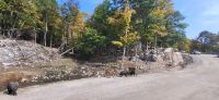 106 Omega Tierpark &ndash; &copy; Susanne Schirmann (Eberhardt TRAVEL)