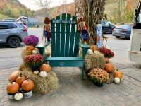 3. Reisetag – Von Niagara Falls bis Huntsville – Herbstliche Begrüßung im Hidden Valley Resort &ndash; &copy; Andreas Wolfsteller (Eberhardt TRAVEL)