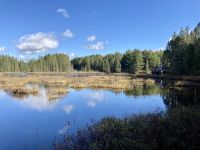 5. Reisetag – Durch den Algonquin Park nach Ottawa – Spaziergang durch das Logging Museum &ndash; &copy; Andreas Wolfsteller (Eberhardt TRAVEL)