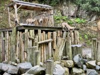 6. Reisetag – Von Ottawa nach Montréal – Besuch des Omega-Wildparks – Steinböcke &ndash; &copy; Andreas Wolfsteller (Eberhardt TRAVEL)