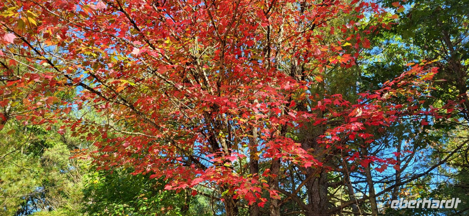 39 Indian Summer beginnt &ndash; &copy; Susanne Schirmann (Eberhardt TRAVEL)