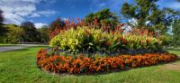 11 herrliche Blumen in Niagara Falls &ndash; &copy; Susanne Schirmann (Eberhardt TRAVEL)