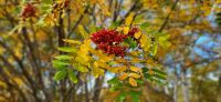 162 Indian Summer &ndash; &copy; Susanne Schirmann (Eberhardt TRAVEL)