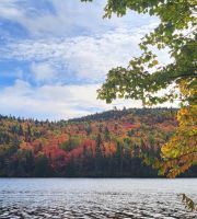 164 Indian Summer