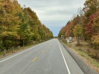 4. Tag – Erholungstag in der Muskoka-Region – Fahrt durch die herbstlichen Wälder nach Gravenhurst &ndash; &copy; Andreas Wolfsteller (Eberhardt TRAVEL)