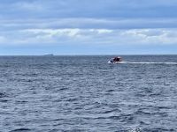 10. Tag – Tadoussac und Walbeobachtung – Walbeobachtung auf dem Sankt-Lorenz-Strom &ndash; &copy; Andreas Wolfsteller (Eberhardt TRAVEL)
