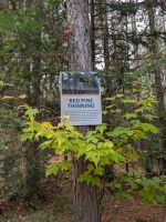 Algonquin Park &ndash; &copy; Mandy Rauschner (Eberhardt TRAVEL)
