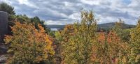 059 Blick in den Algonquin Park &ndash; &copy; Susanne Schirmann (Eberhardt TRAVEL)