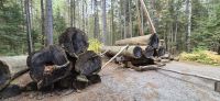 063 Holztransporte damals &ndash; &copy; Susanne Schirmann (Eberhardt TRAVEL)