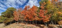 084 Indian Summer &ndash; &copy; Susanne Schirmann (Eberhardt TRAVEL)