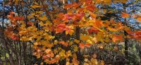 134 Indian Summer &ndash; &copy; Susanne Schirmann (Eberhardt TRAVEL)