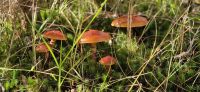 135 Wanderung am Lac Taureau &ndash; &copy; Susanne Schirmann (Eberhardt TRAVEL)