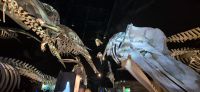 163 Walmuseum &ndash; &copy; Susanne Schirmann (Eberhardt TRAVEL)