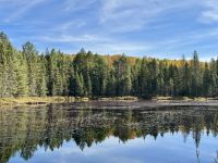 5. Tag – Durch den Algonquin Park nach Ottawa – Freiluftmuseum „Logging Trail“ &ndash; &copy; Andreas Wolfsteller (Eberhardt TRAVEL)