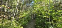 45 Wanderung Hardy Lake &ndash; &copy; Susanne Schirmann (Eberhardt TRAVEL)
