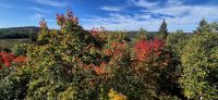 63 Algonquin Park &ndash; &copy; Susanne Schirmann (Eberhardt TRAVEL)