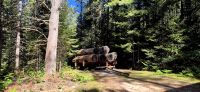 75 Spaziergang Logging Museum &ndash; &copy; Susanne Schirmann (Eberhardt TRAVEL)