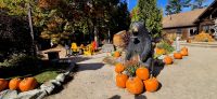 93 Herbststimmung &ndash; &copy; Susanne Schirmann (Eberhardt TRAVEL)