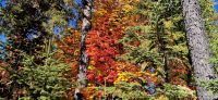 106 freier Tag am Lac Taureau &ndash; &copy; Susanne Schirmann (Eberhardt TRAVEL)