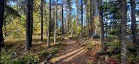 118 Wanderung am  Lac Taureau &ndash; &copy; Susanne Schirmann (Eberhardt TRAVEL)