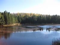 Algonquin Park &ndash; &copy; Annette Zocher (Eberhardt TRAVEL)