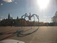 Ottawa &ndash; &copy; Annette Zocher (Eberhardt TRAVEL)