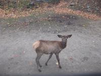 Omega Wildpark &ndash; &copy; Annette Zocher (Eberhardt TRAVEL)