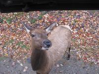 Omega Wildpark &ndash; &copy; Annette Zocher (Eberhardt TRAVEL)