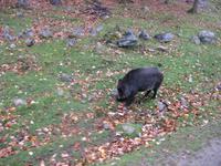 Omega Wildpark &ndash; &copy; Annette Zocher (Eberhardt TRAVEL)