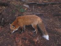 Omega Wildpark &ndash; &copy; Annette Zocher (Eberhardt TRAVEL)