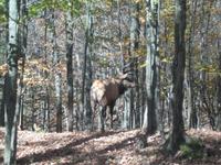 &copy; Nicole Niendorf (Eberhardt TRAVEL)