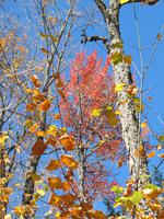 Indian Summer &ndash; &copy; Nicole Niendorf (Eberhardt TRAVEL)