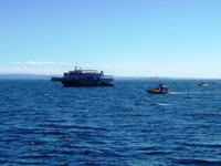 Andere Boote bzw. Schiffe halten auch Ausschau nach Walen? &ndash; &copy; Nicole Kunath (Eberhardt TRAVEL)