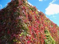 Toll diese Farben &ndash; &copy; Nicole Kunath (Eberhardt TRAVEL)