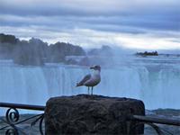 Na hallo... &ndash; &copy; Nicole Kunath (Eberhardt TRAVEL)