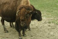 Im Omega-Wildpark &ndash; &copy; Lars Dittrich (Eberhardt TRAVEL)