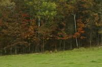 Im Omega-Wildpark &ndash; &copy; Lars Dittrich (Eberhardt TRAVEL)