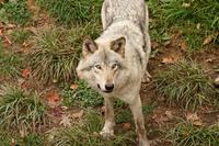 Im Omega-Wildpark &ndash; &copy; Lars Dittrich (Eberhardt TRAVEL)