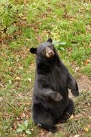 Im Omega-Wildpark &ndash; &copy; Lars Dittrich (Eberhardt TRAVEL)