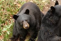 Im Omega-Wildpark &ndash; &copy; Lars Dittrich (Eberhardt TRAVEL)