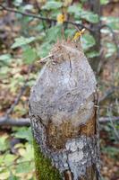 Am Lac Taureau &ndash; &copy; Lars Dittrich (Eberhardt TRAVEL)