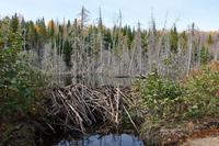 Am Lac Taureau &ndash; &copy; Lars Dittrich (Eberhardt TRAVEL)
