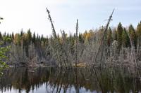 Am Lac Taureau &ndash; &copy; Lars Dittrich (Eberhardt TRAVEL)
