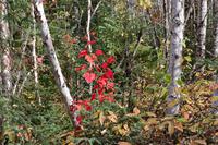 Am Lac Taureau &ndash; &copy; Lars Dittrich (Eberhardt TRAVEL)